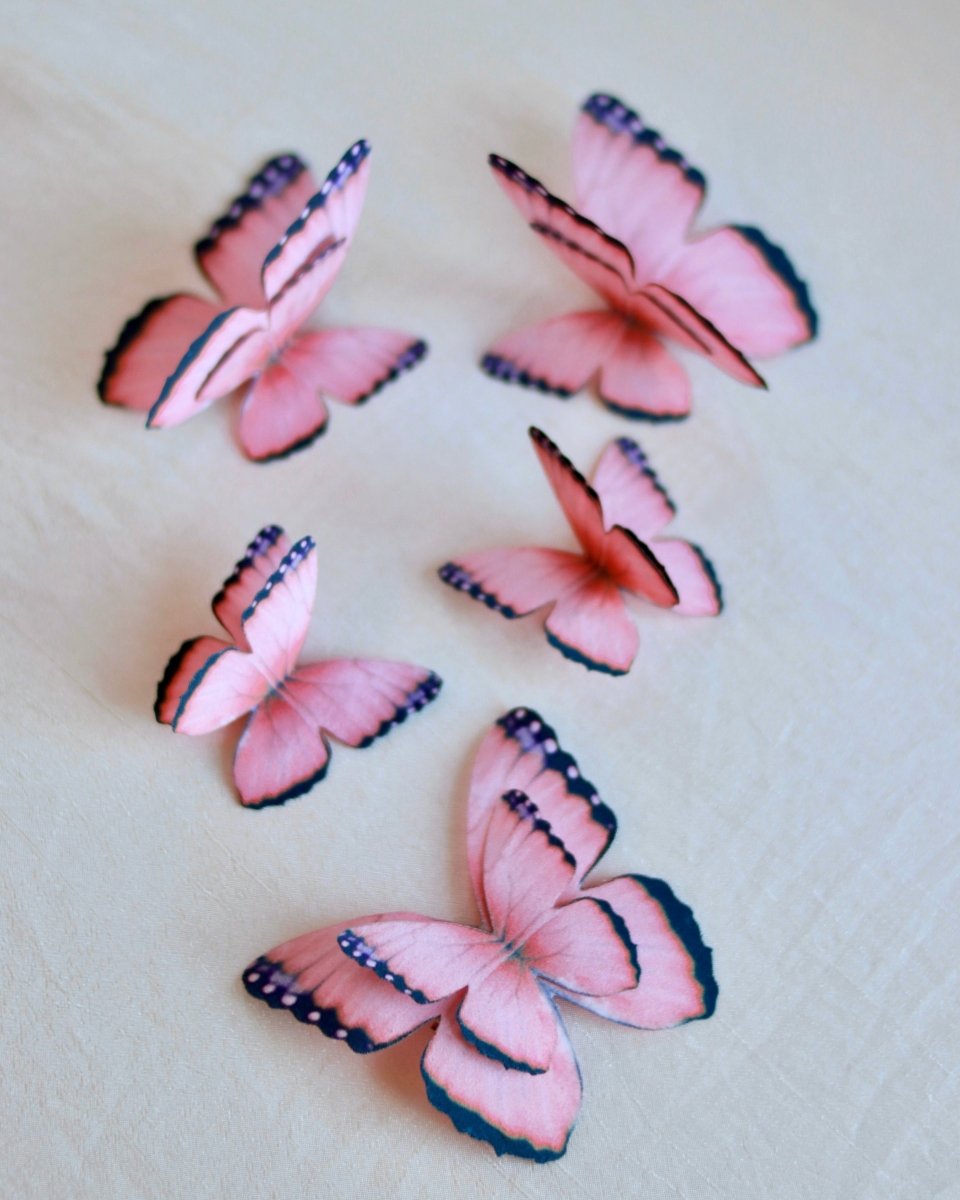 Nymara In Flight Butterfly Clips - Wild & Free Jewelry