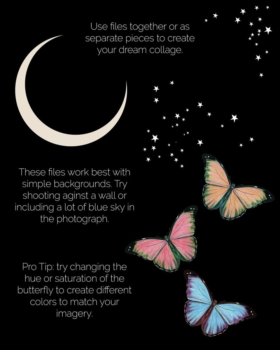 Digital Download | Butterfly & The Moon | PNG Files for Collage - Wild & Free Jewelry
