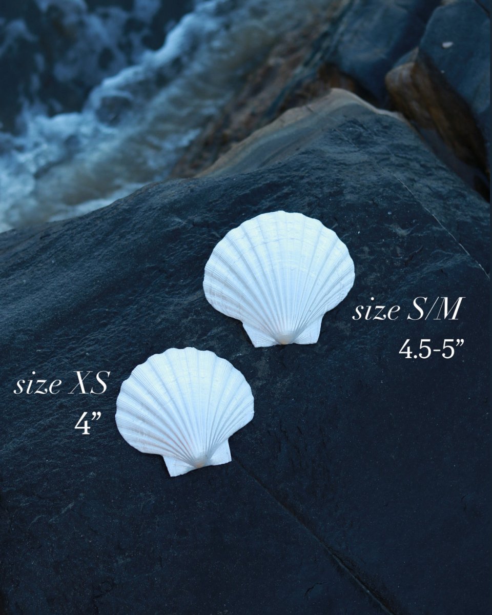 Atlantean Queen Mermaid Top - Wild & Free Jewelry