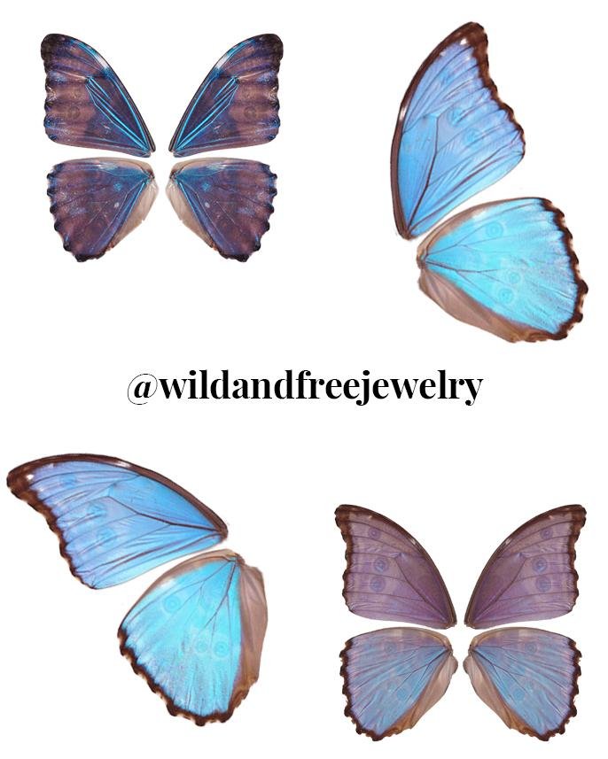 Digital Download | Blue Morpho Butterfly Wings | PNG Files for Collage - Wild & Free Jewelry