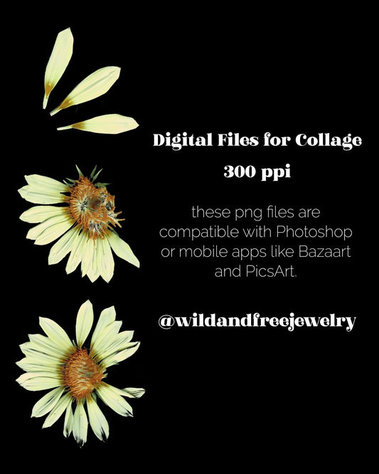 Digital Download | Distressed White Flowers | PNG Files for Collage - Wild & Free Jewelry