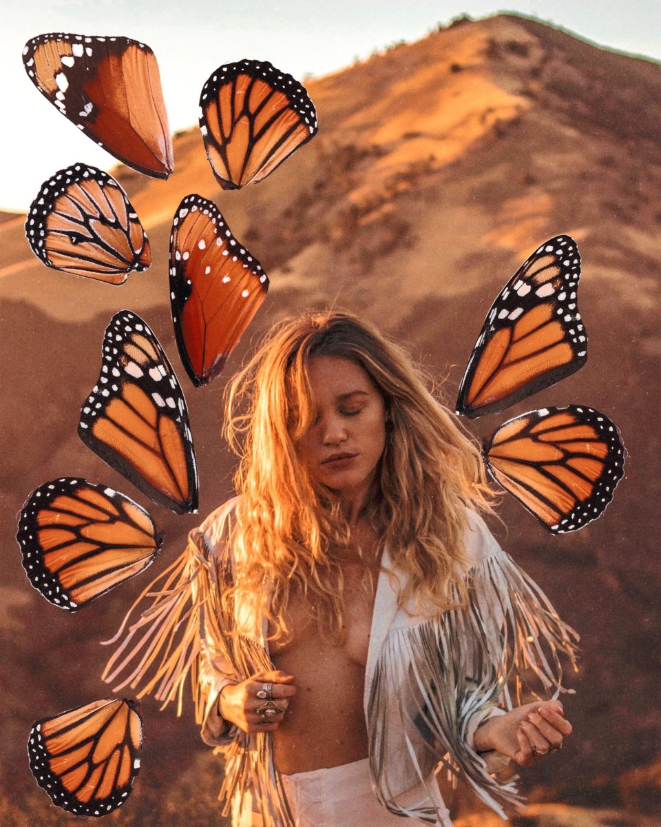 Digital Download | Monarch Butterfly Wings | PNG Files for Collage - Wild & Free Jewelry