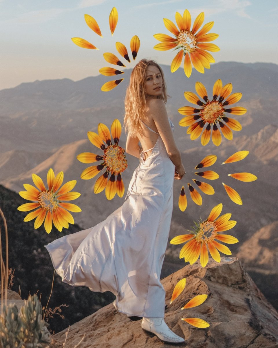 Digital Download | Pressed Flowers | PNG Files for Collage - Wild & Free Jewelry