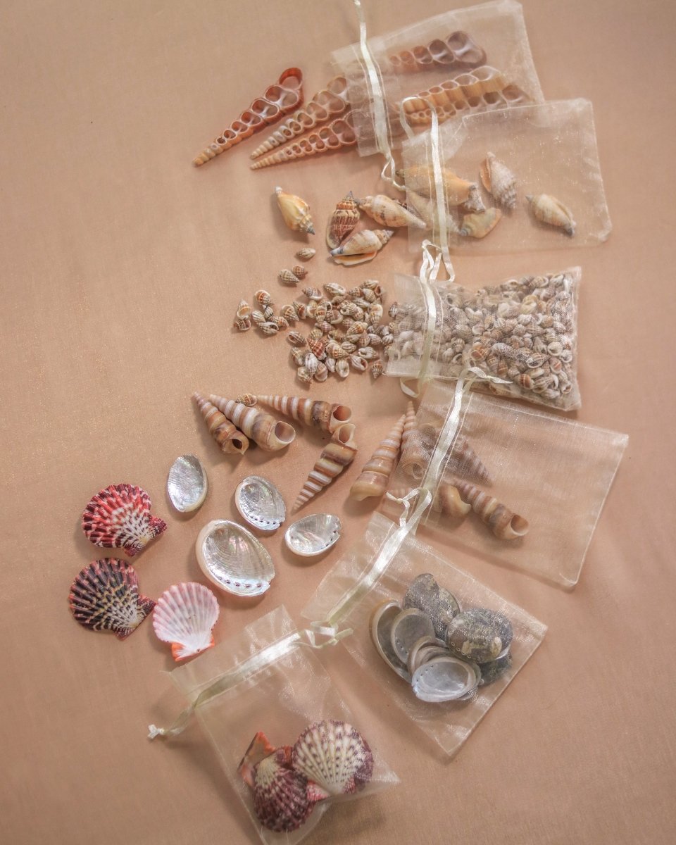 DIY Mermaid Crown Bundle - Wild & Free Jewelry