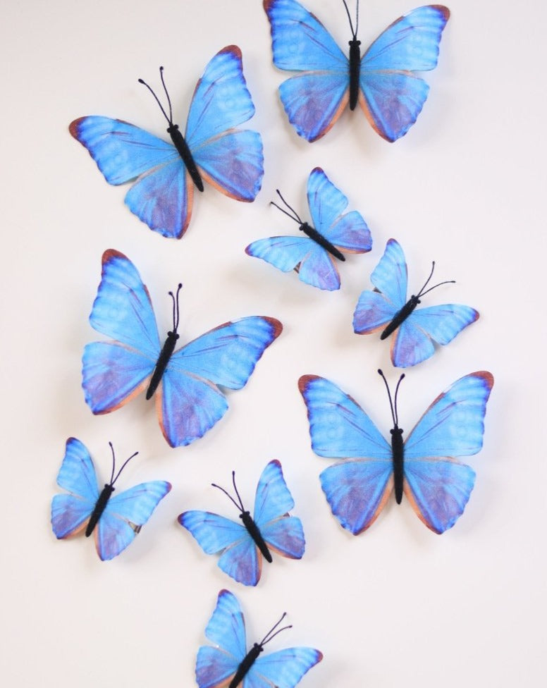 Electric Desert Butterfly Hair Clips - Ready to Ship - Wild & Free Jewelry
