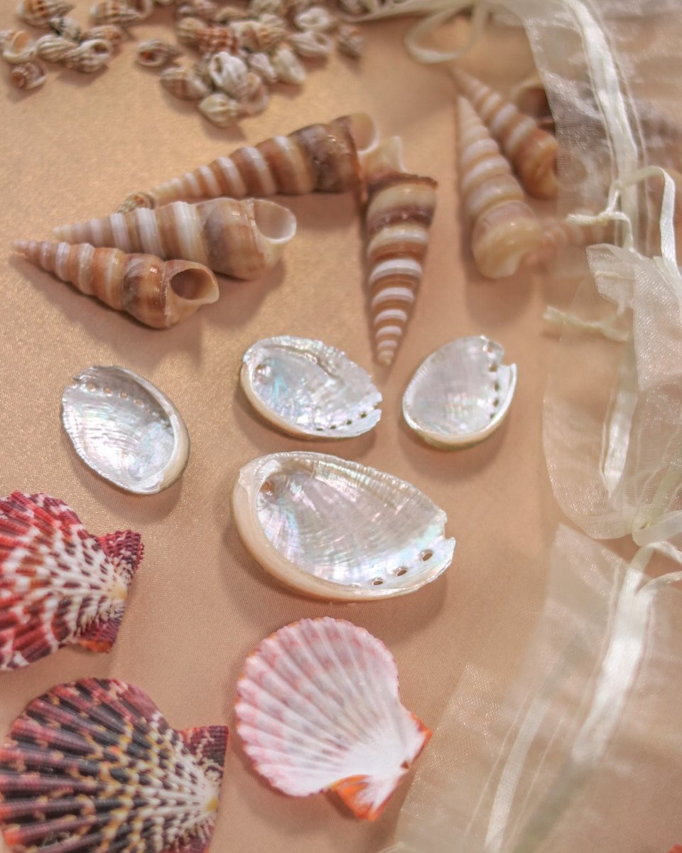Seashells for DIY Mermaid Crown - Wild & Free Jewelry