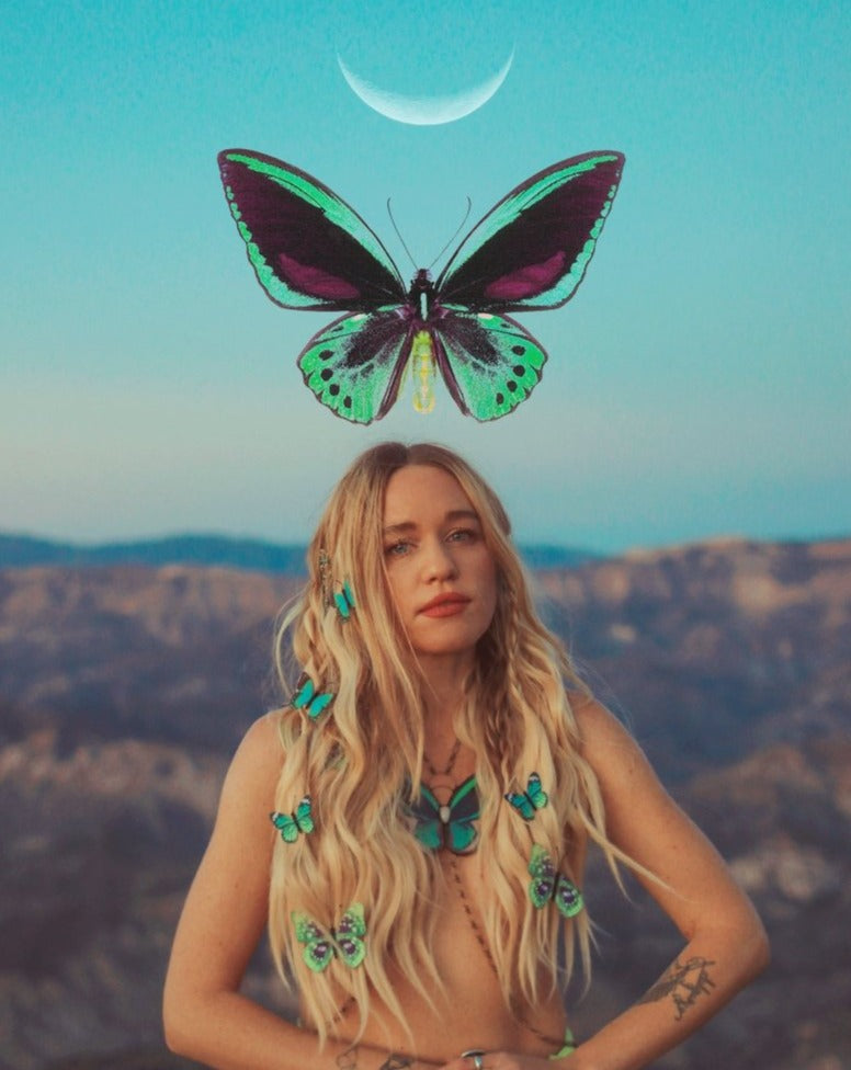 Valley of the Nymphs Butterfly Hair Clips - Set of 9 - Ready to Ship - Wild & Free Jewelry